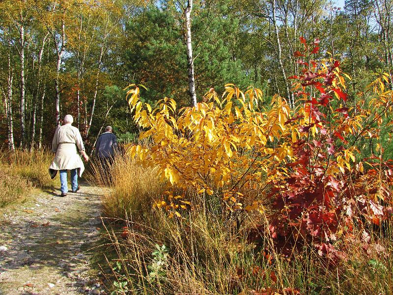 Wandeling van Monke en Judith op 21-10-2012 (43).JPG